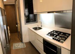 Starlight Suites (D9), Apartment #483331141